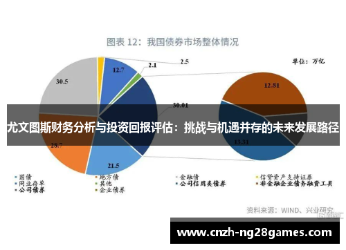 尤文图斯财务分析与投资回报评估：挑战与机遇并存的未来发展路径