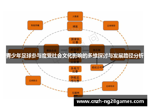 青少年足球参与度受社会文化影响的多维探讨与发展路径分析