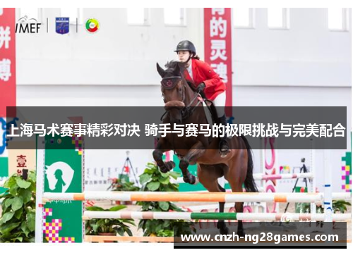 上海马术赛事精彩对决 骑手与赛马的极限挑战与完美配合