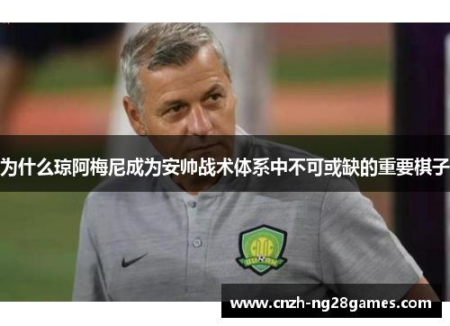 为什么琼阿梅尼成为安帅战术体系中不可或缺的重要棋子