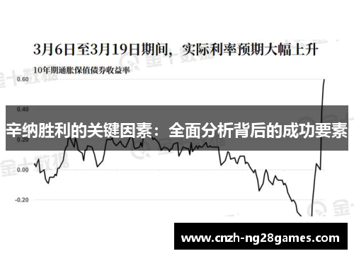 辛纳胜利的关键因素：全面分析背后的成功要素