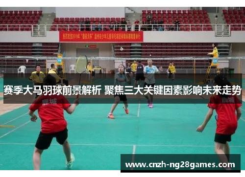 赛季大马羽球前景解析 聚焦三大关键因素影响未来走势