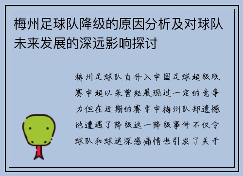 梅州足球队降级的原因分析及对球队未来发展的深远影响探讨